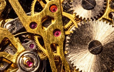 Being More Human in a Complex World